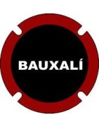 Baxaulí