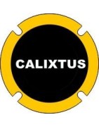Calixtus
