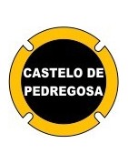 Castelo de Pedregosa