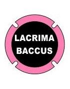 Lacrima Baccus
