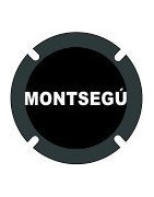 Montsegú